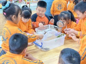 Đổi mới và sáng tạo trong sinh hoạt chuyên môn theo hướng Nghiên cứu bài học (tháng 12)