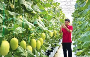 Kinh tế số trở thành động lực tăng trưởng mới của Ninh Bình