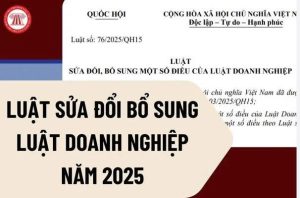 Luật sửa đổi, bổ sung một số điều của Luật Doanh nghiệp