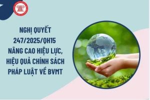 Nghị quyết số 247/2025/QH15 ngày 10 tháng 12 năm 2025 của Quốc hội về tiếp tục nâng cao hiệu lực, hiệu quả việc thực hiện chính sách, pháp luật về bảo vệ môi trường