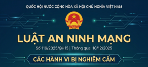 Infographics Luật An ninh mạng: Các hành vi bị nghiêm cấm
