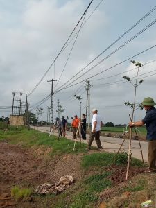 XÃ XUÂN HỒNG ĐẨY MẠNH TRỒNG CÂY XANH, XÂY DỰNG CẢNH QUAN XANH – SẠCH – ĐẸP