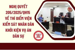 Nghị quyết của Quốc hội về việc thí điểm Viện kiểm sát nhân dân khởi kiện vụ án dân sự để bảo vệ quyền dân sự của các chủ thể là nhóm dễ bị tổn thương hoặc bảo vệ lợi ích công