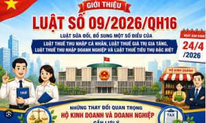 Luật sửa đổi, bổ sung một số điều của Luật Thuế thu nhập cá nhân, Luật Thuế giá trị gia tăng, Luật Thuế thu nhập doanh nghiệp và Luật Thuế tiêu thụ đặc biệt