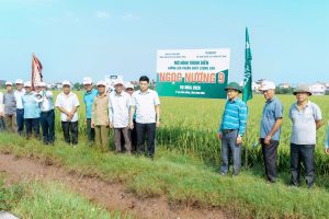 HỘI NGHỊ ĐẦU BỜ ĐÁNH GIÁ GIỐNG LÚA CHẤT LƯỢNG NGỌC NƯƠNG 9